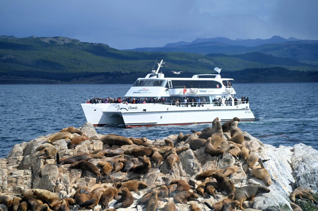 Antarctica Tours from South America: Ships, Routes and Seasons