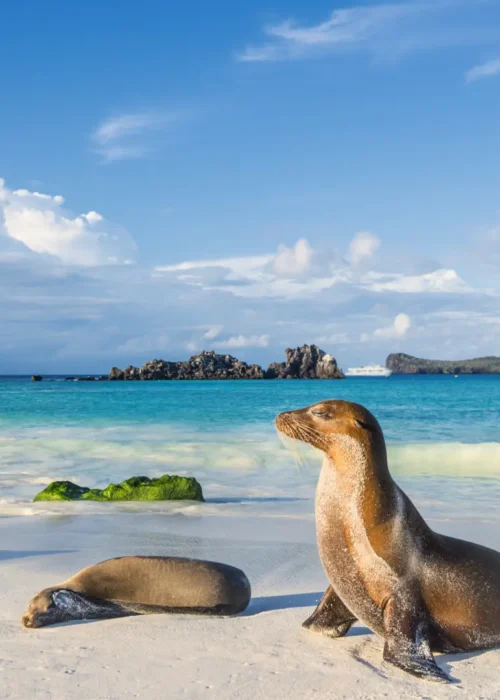 Top Attractions in South America – Your Guide to Must-See Destinations Top Attractions in South America – Your Guide to Must-See Destinations