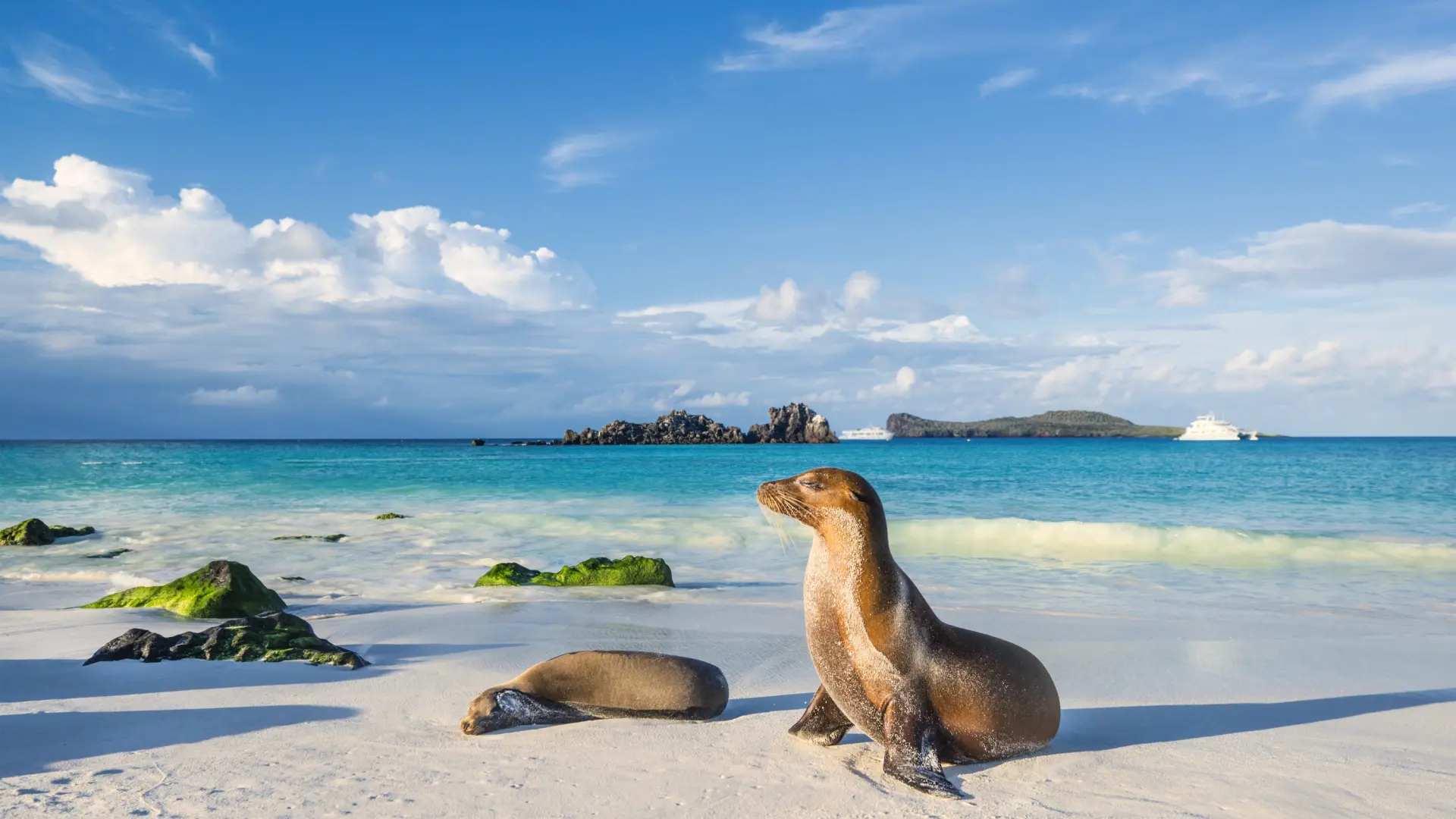 Top Attractions in South America – Your Guide to Must-See Destinations