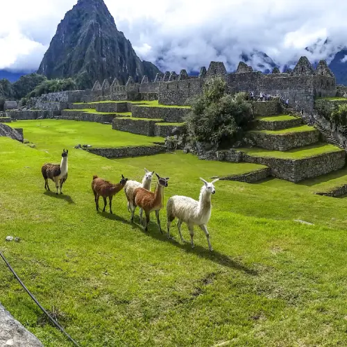 Full-Day Tour of Machu Picchu - Image 1