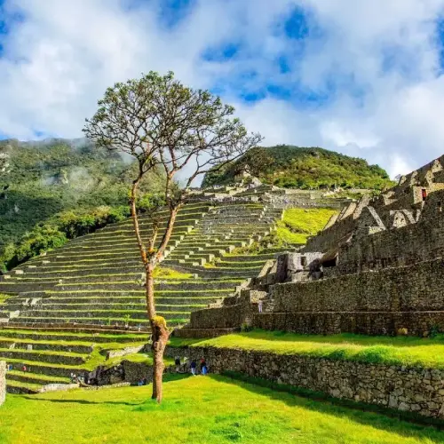 Full-Day Machu Picchu Tour & Transfer to Cusco - Image 2