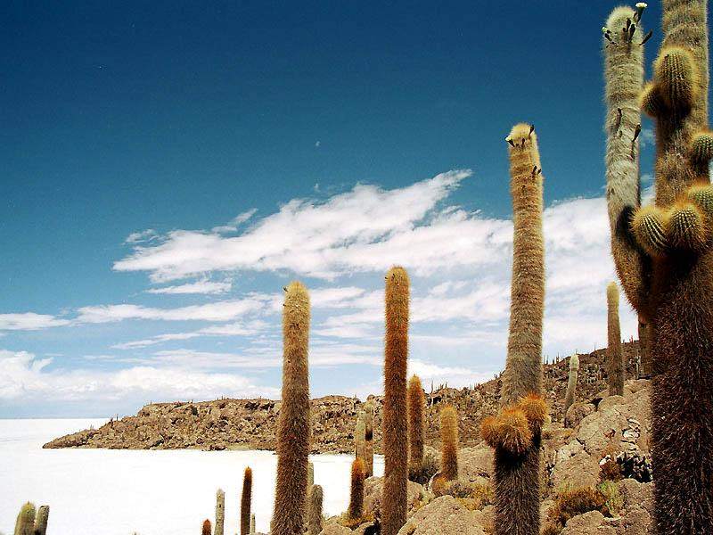 Best Time to Travel South America
